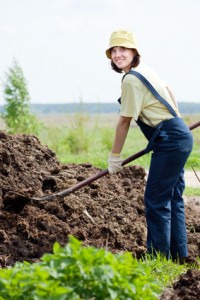 Woman works with animal manure