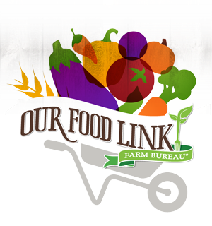 OurFoodLink