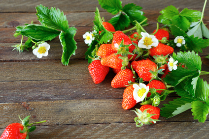 June Garden Action List Harvest Strawberries 