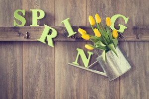Spring Gardening Tips from the Summit County Farm Bureau