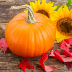 SCFB October Gardening Action List for NE OH