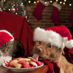 SCFB Pet Holiday Dangers to Avoide