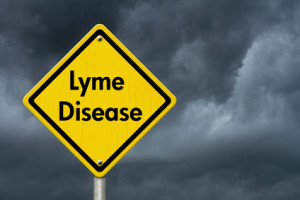 Lyme Disease Lessons