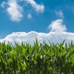 sustainable farming facts and trends