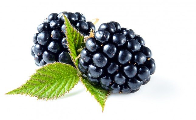 Blackberries-645x396