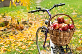 bike-basket-apples